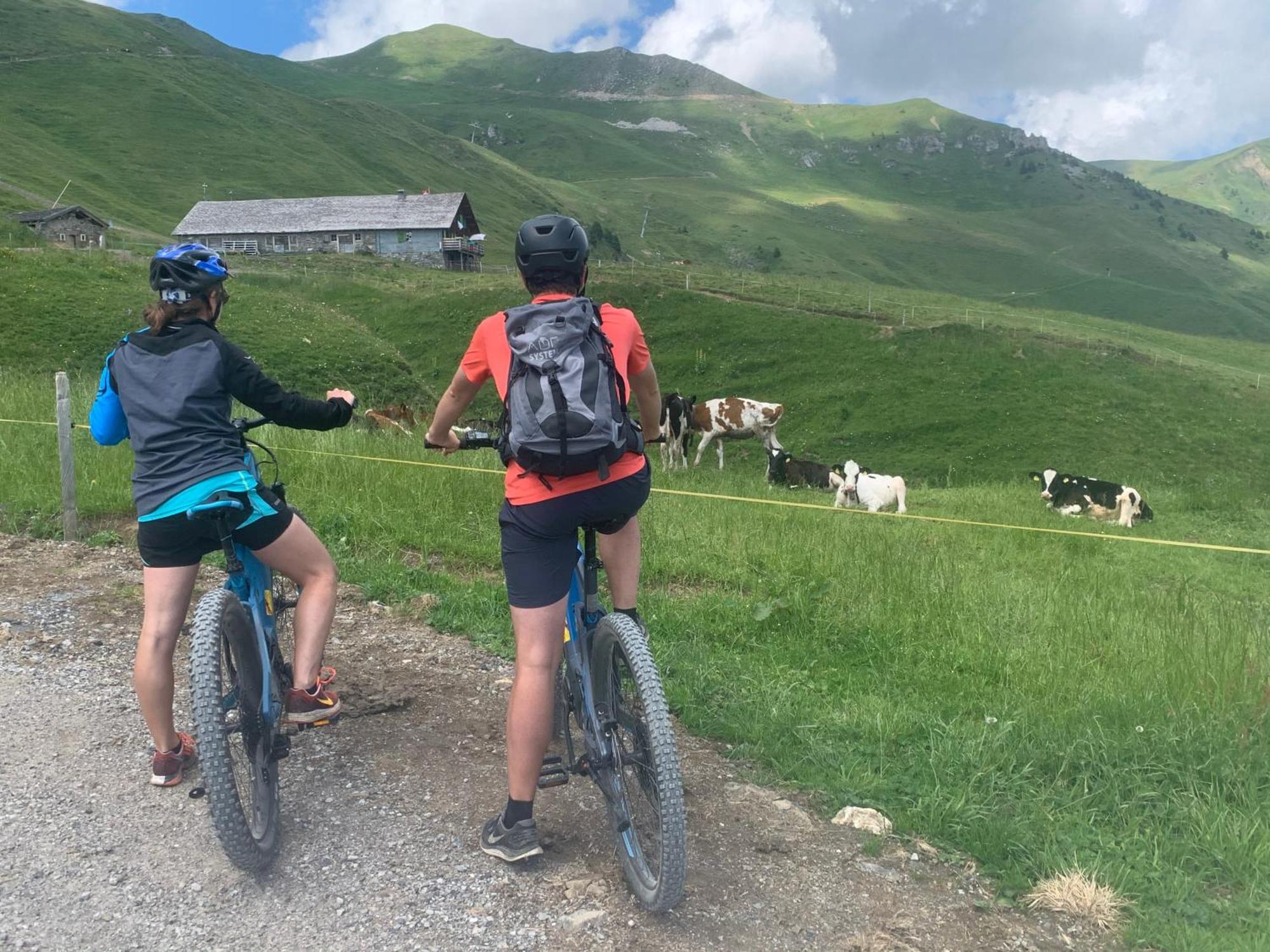 Chalet Montriond - Bike & Ski Ле Крозе Екстериор снимка